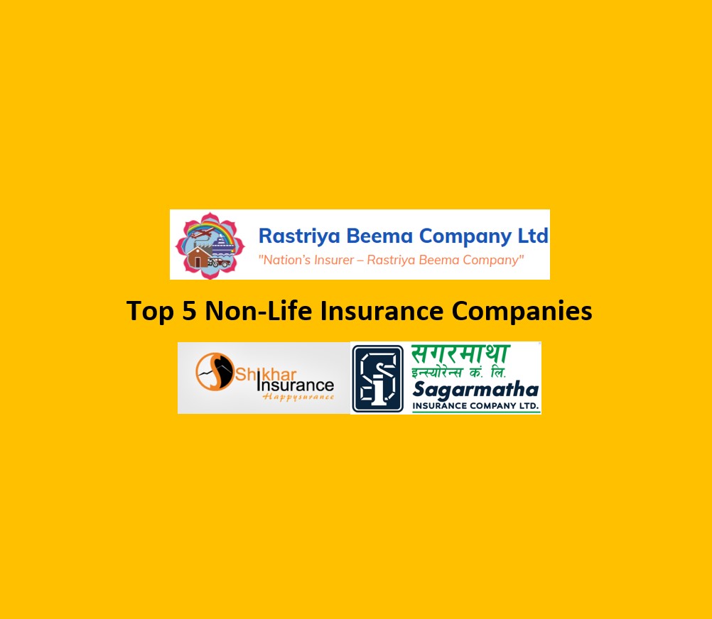 Top 5 Non-Life Insurance Companies